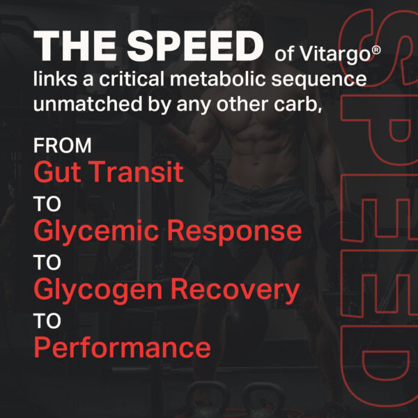 Vitargo Packets Speed of Digestion